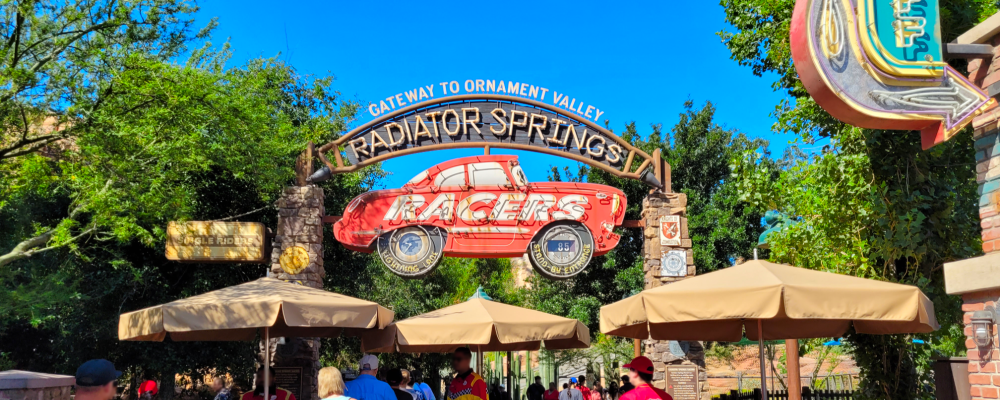 Radiator Spring Racers