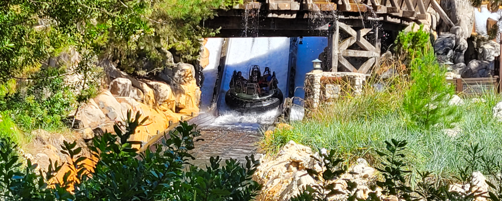 Grizzly River Run 3