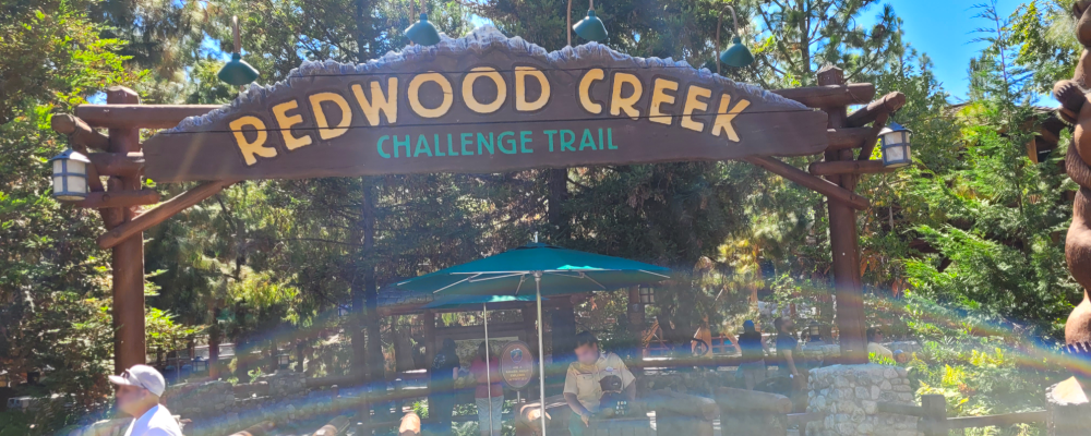 Redwood Creek