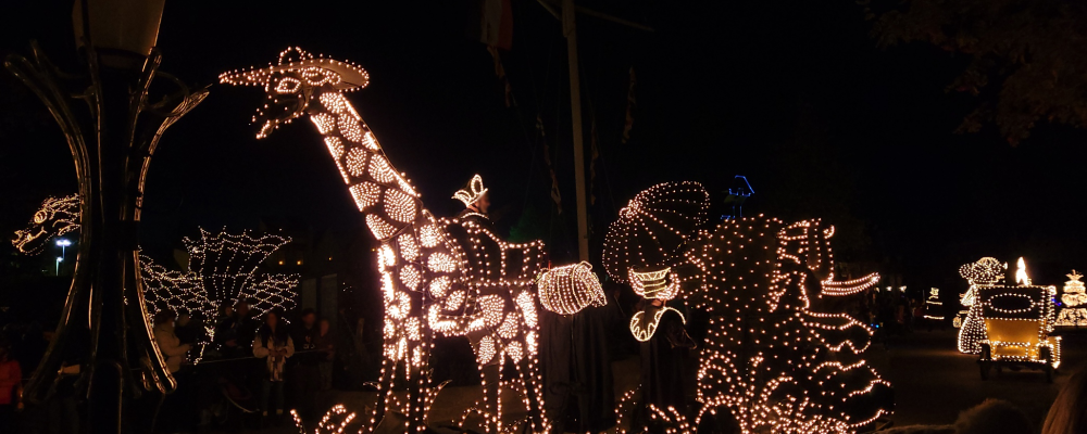 Lichterparade 6